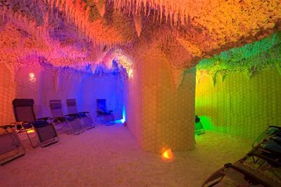 фото отеля Rogner Lotus Therme Hotel Heviz