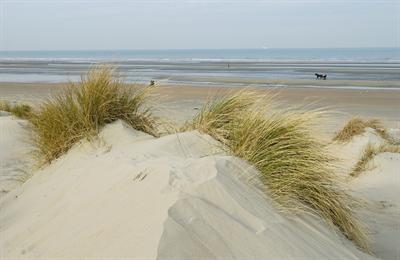 фото отеля Domein Westhoek