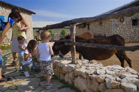 фото отеля Herceg Etno selo Medjugorje