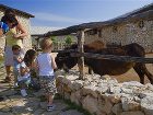 фото отеля Herceg Etno selo Medjugorje