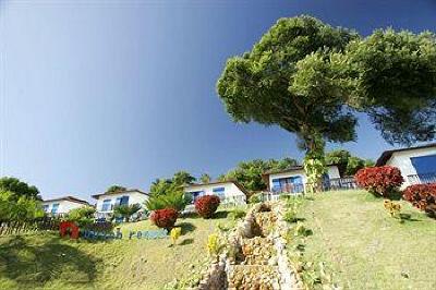 фото отеля D Beach Resort