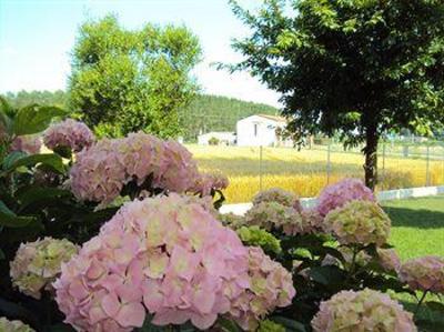 фото отеля Bed and Breakfast La Corte