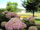 фото отеля Bed and Breakfast La Corte