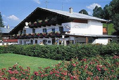фото отеля Alpenhotel Traube Kirchberg in Tirol