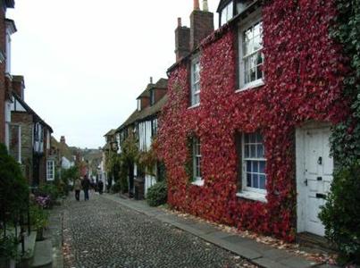 фото отеля Lodge Hotel Rye (England)