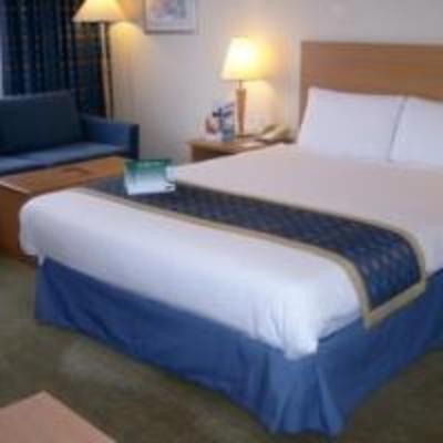фото отеля Holiday Inn Sutton London