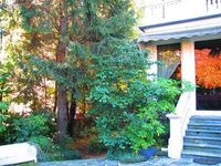B&b Villa Adriana
