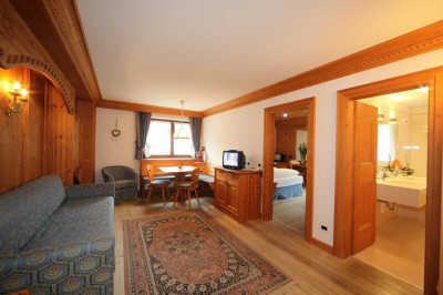 фото отеля Hotel Ladinia Badia