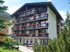 фото отеля Alpenhof Hotel Saas-Almagell