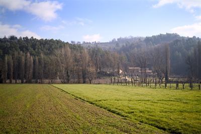 фото отеля Agriturismo Borgovivo