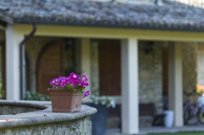 фото отеля Agriturismo Borgovivo