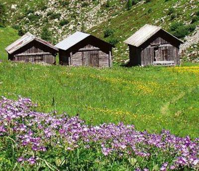 фото отеля Alpenhof Hotel Sankt Jakob in Defereggen
