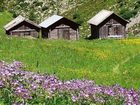 фото отеля Alpenhof Hotel Sankt Jakob in Defereggen