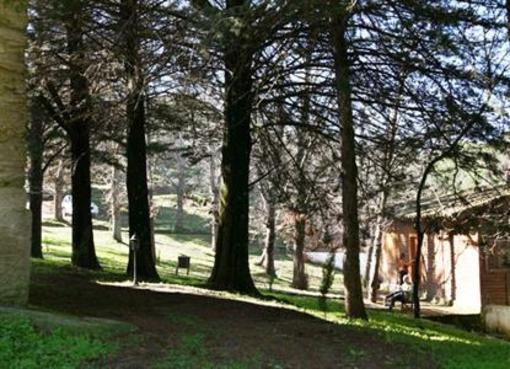 фото отеля Cabanas De Tentudia
