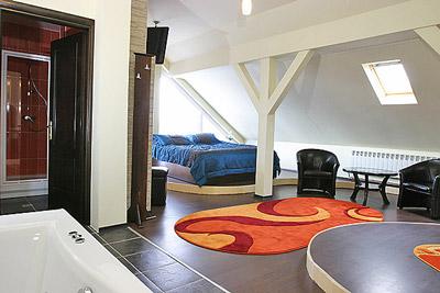 фото отеля Pension David House Radauti