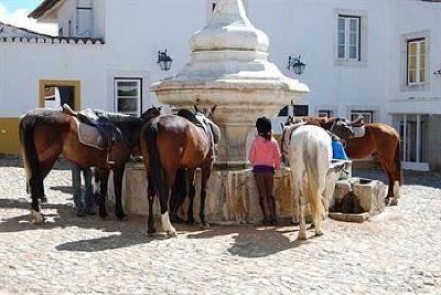 фото отеля Quinta de Santo Antonio- Elvas - Hotel Rural****