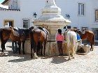 фото отеля Quinta de Santo Antonio- Elvas - Hotel Rural****