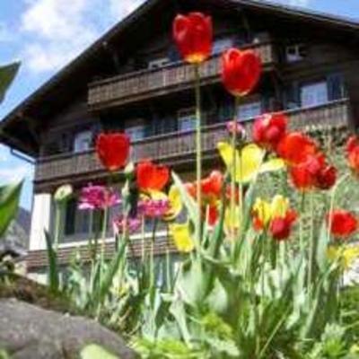 фото отеля Hotel Sternen Lenk