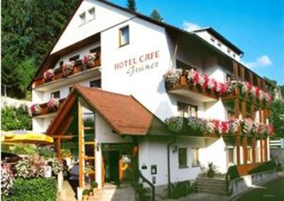 фото отеля Hotel Cafe Grüner Obertrubach