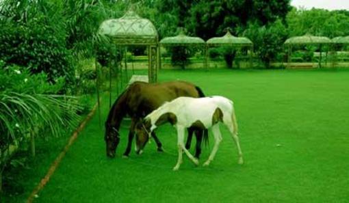 фото отеля Burja Haveli Hotel