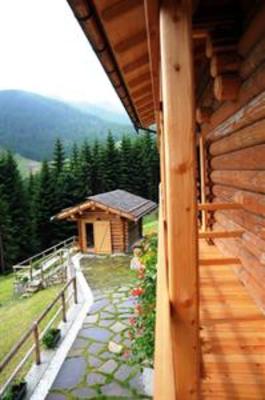фото отеля Chalet Nel Doch Villa Cheia
