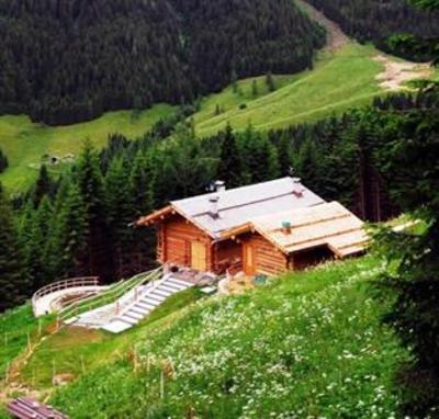 фото отеля Chalet Nel Doch Villa Cheia