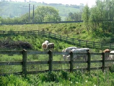 фото отеля Ard na Breatha Guesthouse Donegal