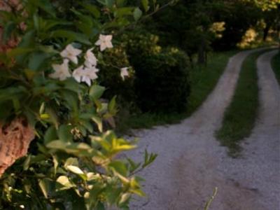 фото отеля Hotel Les Cigales Allauch