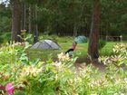 фото отеля Lazy Duck Campsite