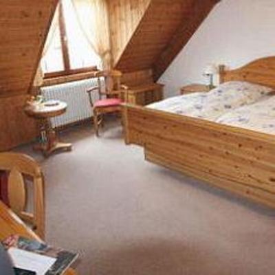 фото отеля Alte Muhle Rielasingen-Worblingen