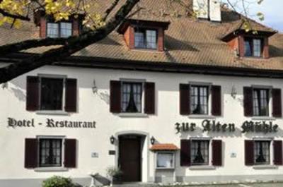 фото отеля Alte Muhle Rielasingen-Worblingen