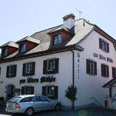 фото отеля Alte Muhle Rielasingen-Worblingen