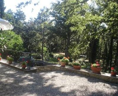 фото отеля Villa Pellegrino