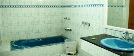 фото отеля Hotel Krishna