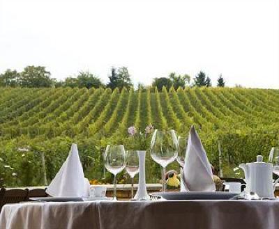 фото отеля Hotel Vinarija Zdjelarevic Slavonski Brod