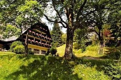 фото отеля Hotel Josen Titisee-Neustadt
