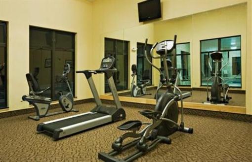 фото отеля Holiday Inn Express Hotel & Suites Borger