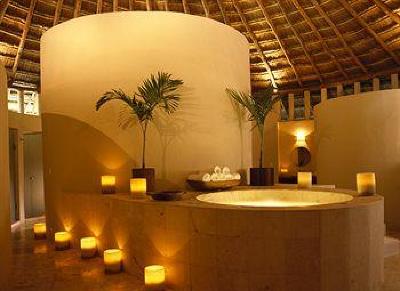 фото отеля Viceroy Riviera Maya