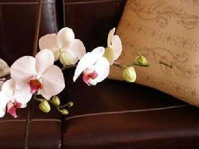 фото отеля Apartamenty VNS