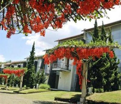 фото отеля Beverly Hills Dago