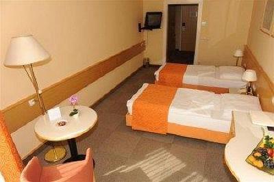 фото отеля Hotel Zdravilisce Lasko