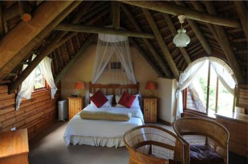 фото отеля Monkey Valley Beach Nature Resort