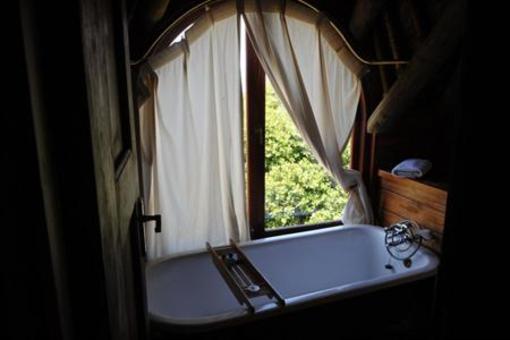 фото отеля Monkey Valley Beach Nature Resort