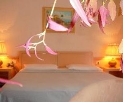 фото отеля Marina Club Hotel Altamarea