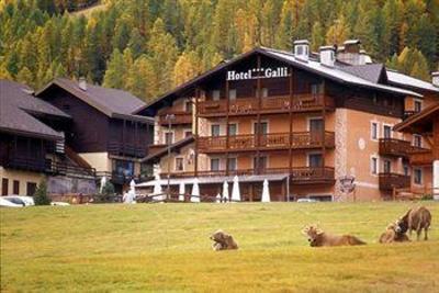 фото отеля Hotel Galli Livigno