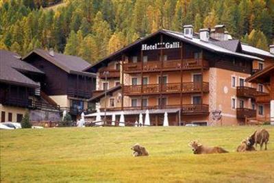 фото отеля Hotel Galli Livigno