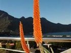 фото отеля Hout Bay View