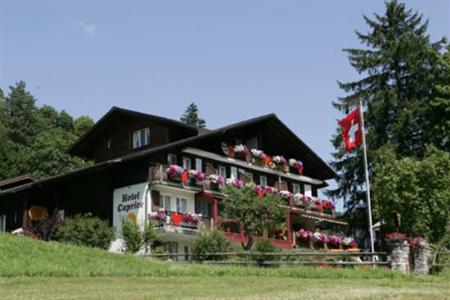 фото отеля Caprice Hotel Grindelwald