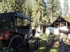 фото отеля Beaverfoot Lodge