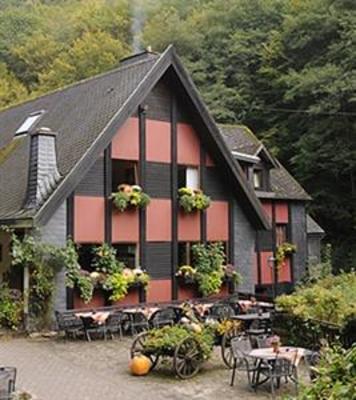 фото отеля Hotel Schmausemühle